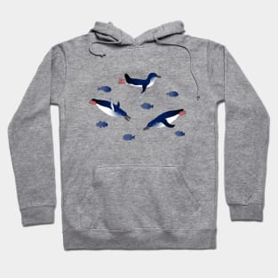 Little blue penguin Hoodie